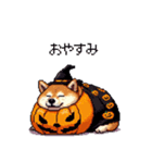 ハロウィンを楽しむ太っちょ柴犬（個別スタンプ：3）