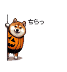 ハロウィンを楽しむ太っちょ柴犬（個別スタンプ：9）