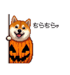 ハロウィンを楽しむ太っちょ柴犬（個別スタンプ：10）