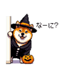 ハロウィンを楽しむ太っちょ柴犬（個別スタンプ：11）
