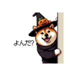 ハロウィンを楽しむ太っちょ柴犬（個別スタンプ：12）