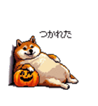 ハロウィンを楽しむ太っちょ柴犬（個別スタンプ：14）