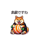 ハロウィンを楽しむ太っちょ柴犬（個別スタンプ：19）