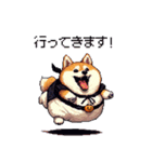 ハロウィンを楽しむ太っちょ柴犬（個別スタンプ：20）