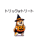 ハロウィンを楽しむ太っちょ柴犬（個別スタンプ：24）