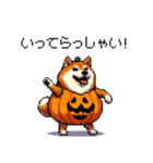 ハロウィンを楽しむ太っちょ柴犬（個別スタンプ：31）
