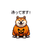 ハロウィンを楽しむ太っちょ柴犬（個別スタンプ：32）