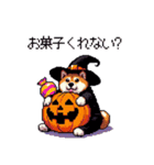 ハロウィンを楽しむ太っちょ柴犬（個別スタンプ：35）