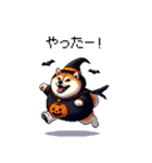 ハロウィンを楽しむ太っちょ柴犬（個別スタンプ：37）