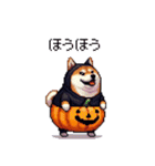 ハロウィンを楽しむ太っちょ柴犬（個別スタンプ：38）