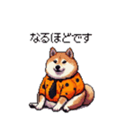 ハロウィンを楽しむ太っちょ柴犬（個別スタンプ：39）