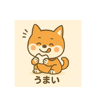 超可愛い柴犬スタンプ（個別スタンプ：8）