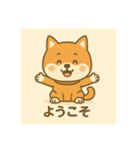 超可愛い柴犬スタンプ（個別スタンプ：12）