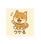 超可愛い柴犬スタンプ（個別スタンプ：14）