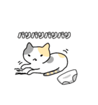 ねこねこの住み家2（個別スタンプ：10）