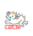 ねこねこの住み家2（個別スタンプ：13）