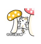 ねこねこの住み家2（個別スタンプ：15）