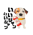 チョキペタビスタンプ7（個別スタンプ：5）