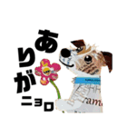 チョキペタビスタンプ7（個別スタンプ：6）