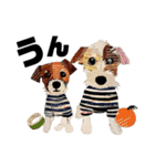 チョキペタビスタンプ7（個別スタンプ：7）