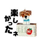 チョキペタビスタンプ7（個別スタンプ：8）