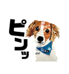 チョキペタビスタンプ7（個別スタンプ：12）