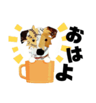 チョキペタビスタンプ7（個別スタンプ：13）