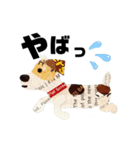 チョキペタビスタンプ7（個別スタンプ：16）