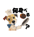 チョキペタビスタンプ7（個別スタンプ：22）