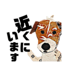 チョキペタビスタンプ7（個別スタンプ：26）