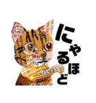 チョキペタビスタンプ7（個別スタンプ：29）