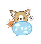 『チワワ 犬スタンプ』吹き出し（個別スタンプ：1）