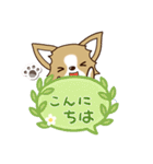 『チワワ 犬スタンプ』吹き出し（個別スタンプ：2）