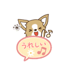 『チワワ 犬スタンプ』吹き出し（個別スタンプ：6）