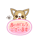 『チワワ 犬スタンプ』吹き出し（個別スタンプ：7）