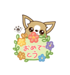 『チワワ 犬スタンプ』吹き出し（個別スタンプ：8）