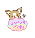 『チワワ 犬スタンプ』吹き出し（個別スタンプ：9）