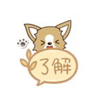 『チワワ 犬スタンプ』吹き出し（個別スタンプ：10）