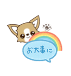 『チワワ 犬スタンプ』吹き出し（個別スタンプ：11）