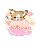 『チワワ 犬スタンプ』吹き出し（個別スタンプ：14）