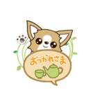 『チワワ 犬スタンプ』吹き出し（個別スタンプ：15）