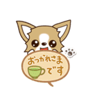 『チワワ 犬スタンプ』吹き出し（個別スタンプ：16）