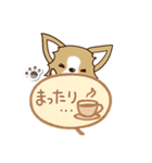 『チワワ 犬スタンプ』吹き出し（個別スタンプ：18）