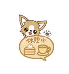 『チワワ 犬スタンプ』吹き出し（個別スタンプ：19）