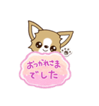 『チワワ 犬スタンプ』吹き出し（個別スタンプ：20）
