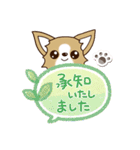 『チワワ 犬スタンプ』吹き出し（個別スタンプ：22）