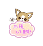 『チワワ 犬スタンプ』吹き出し（個別スタンプ：24）