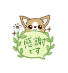 『チワワ 犬スタンプ』吹き出し（個別スタンプ：25）