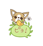 『チワワ 犬スタンプ』吹き出し（個別スタンプ：26）