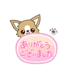 『チワワ 犬スタンプ』吹き出し（個別スタンプ：27）